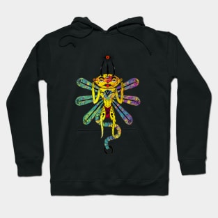 Eye seeing fly Hoodie